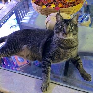 Meet your Posher, Carrie